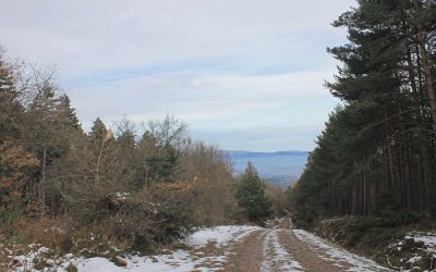 Ventajas y desventajas de visitar la montaña en primavera, verano, otoño e invierno.