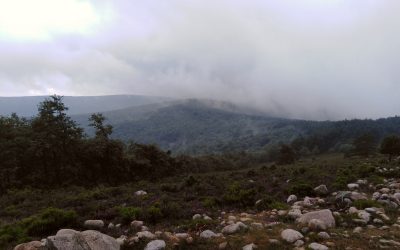 EL PULSO DE LA TIERRA – SENDERISMO INTERPRETATIVO