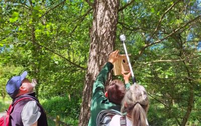 ¿Cómo podemos ayudar a la biodiversidad que nos rodea?